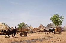 Horsecarts are a common sight on Niger's roads, like these near Diffa in far south-eastern Niger. Transport in Niger.jpg