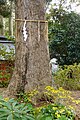 Tree in the Kuzuharaoka Shinto Shrine in Kamakura.