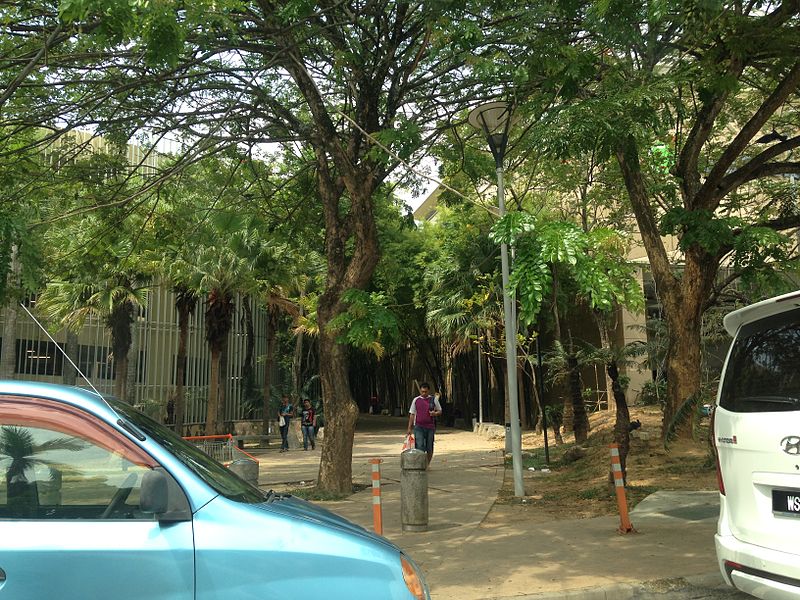 File:Trees at Alamanda Putrajaya.JPG