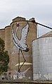 English: Silo art at Tungamah, Victoria