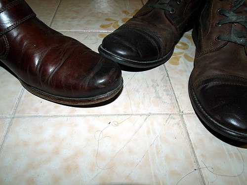 Two similar types of boots.