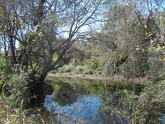 Bremer River, 2011 Upper Bremer River 2.jpg