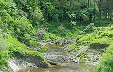 The Uturi Stream, which runs next to the township. Uruti Stream in Uruti.jpg