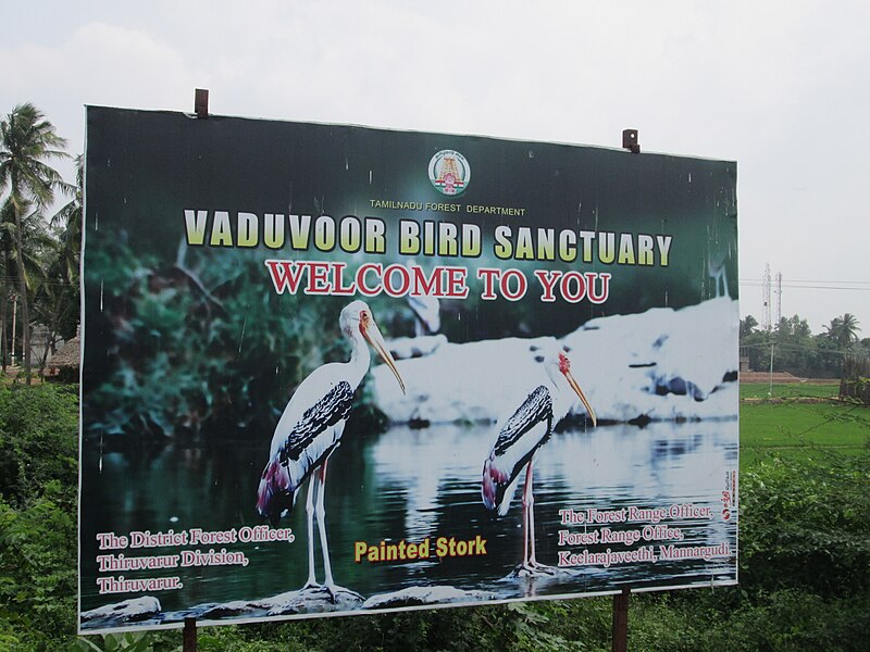 File:Vaduvur 1.JPG