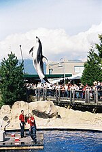 Miniatura para Acuario de Vancouver