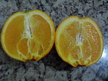 Narancs – Wikipédia