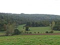 View across valley to Chedworth Woods