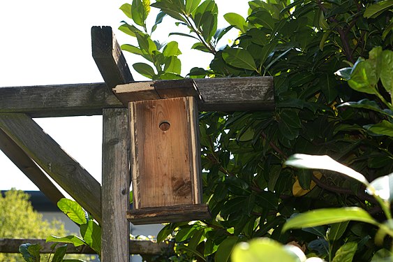 Aus Holzresten gebauter Nistkasten