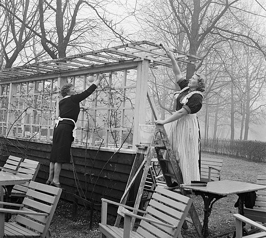 Voorjaarsschoonmaak in het Vondelpark anno 1961.