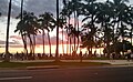 Waikiki sunset