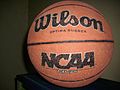 Wilson Basketball.JPG