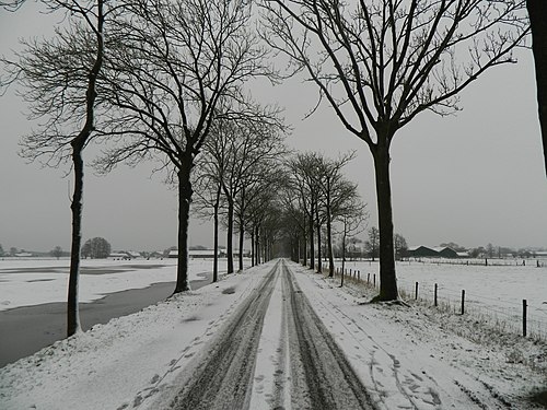 WinterRoad (Veenendaal)