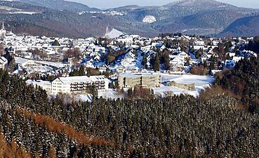 Rothaargebergte: Biotoop, Wisent, Wintersport