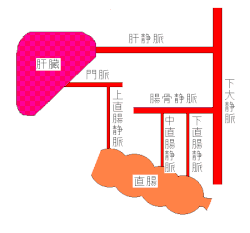 セニラン 坐 剤