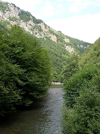 <span class="mw-page-title-main">Željeznica (Bosna)</span> River in Bosnia and Herzegovina