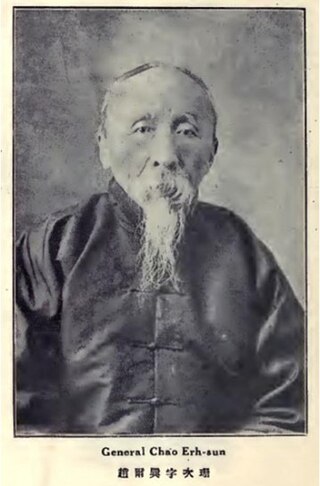 <span class="mw-page-title-main">Zhao Erxun</span> Qing dynasty politician and historian (1844–1927)