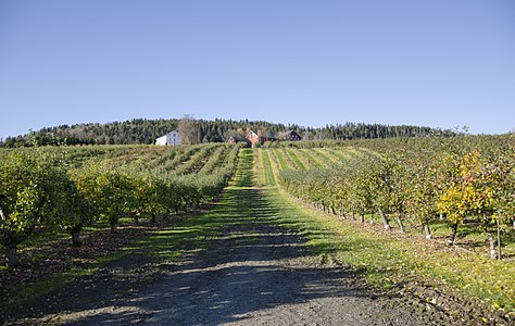 Apple orchard Stoppen