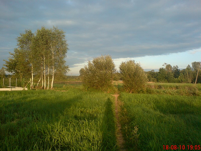 File:Ścieżka - panoramio.jpg