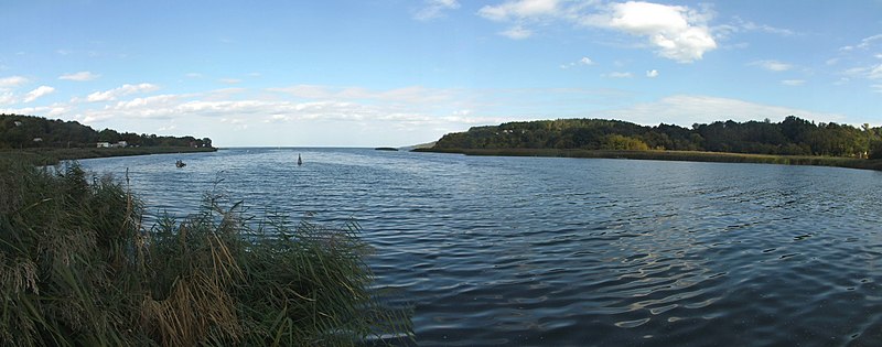 File:Затока Дніпра в с.Ходорів. фото 3.jpg