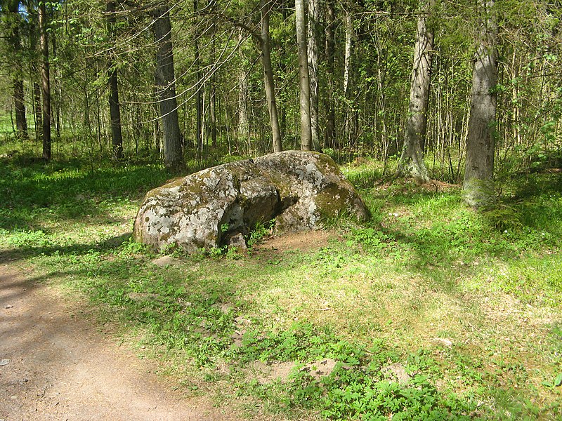 File:Ораниенбаум, Верхний парк, Валун на Английской аллее.jpg