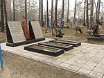 С.Українка, кладовище.jpg
