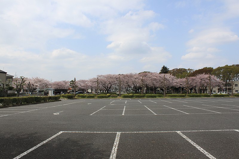 File:中山競馬場駐車場 - panoramio (4).jpg