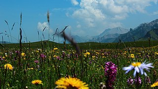 热尔大坝草原Rerdaba grassland - panoramio (7).jpg