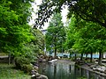 福山植物園 Fushan Botanical Garden - panoramio (5).jpg