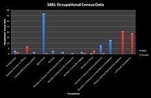 1881 Gender based occupational census data 1881 Occupational Census Data.jpg