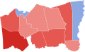 2006 TX-08 election
