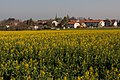 Jussy liegt an der Grenze zu Frankreich. Man sagt ungefähr „Schüssi“.