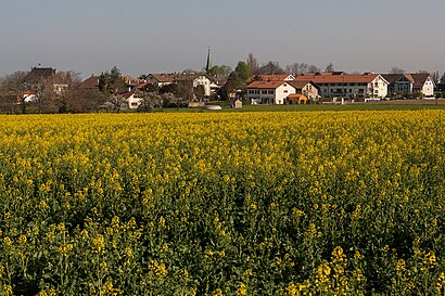 So kommt man zu Lullier mit den Öffentlichen - Mehr zum Ort Hier