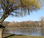 Fountain pond