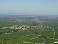 Hainfeld (Pfalz)