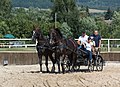 * Nomination Horse stud farm in Świdnik 2 --Jacek Halicki 00:01, 28 December 2016 (UTC) * Promotion Good quality. --Hubertl 02:55, 28 December 2016 (UTC)