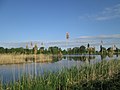 Wasserflächen als ideales Brutgebiet für z.T. seltene Vogelarten