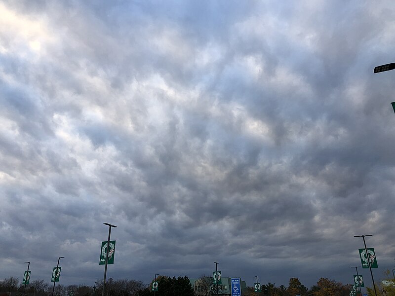 File:2021-11-18 16 23 02 Altostratus clouds moving over the Franklin Farm Village Shopping Center in the Franklin Farm section of Oak Hill, Fairfax County, Virginia.jpg