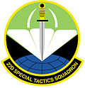 Thumbnail for 22nd Special Tactics Squadron