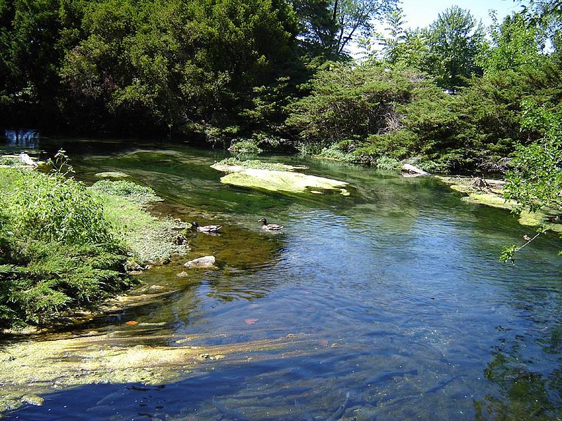 File:4 Tatata 2 CW trout.jpg