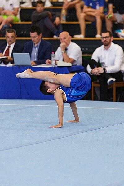 File:5th Budapest Cup 2019-05-25 Ivan Sevruk (Norman Seibert) - 03213.jpg