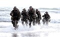 A Seal Team is coming out of water.jpg