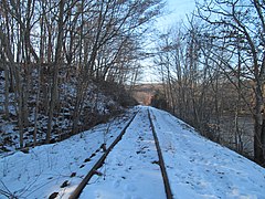 Abandoned Palmertown Branch track (1), January 2013.JPG