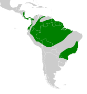 Accipiter superciliosus map.svg