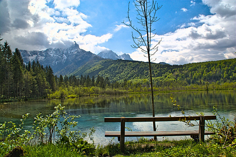 File:Almsee Ostufer nahe Fischerhütte 1.jpg