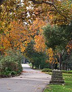 Cesta Alum Rock Park (oříznutá) .jpg