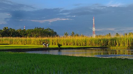 Cell phone mast in Java