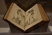 De humani corporis fabrica libri septem van Andreas Vesalius
