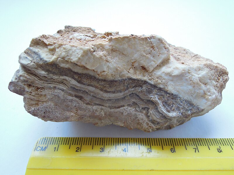 File:Aragonite from Malta.jpg