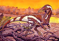 Aratasaurus museunacionali.jpg
