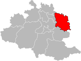 <span class="mw-page-title-main">Canton of Mirepoix</span> Canton in Occitania, France